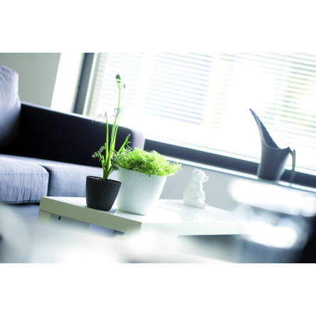 Горщик для квітів Prosperplast SPLOFY 26х22см білий (14000-449) - 3