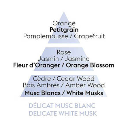 115091 Аромат для лампи Maison Berger Paris DELICATE WHITE MUSK, 500 мл - 3