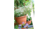 Горщик для квітів Prosperplast AGRO підвісний 27х27х16см теракотовий (15205) - 2