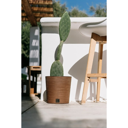 Горшок для цветов Prosperplast FURU ECO WOOD 25х24.7см круглый низкий с вкладышем бежевый (57185-4665) - 2 Горшок для цветов Prosperplast FURU ECO WOOD 25х24.7см круглый низкий с вкладышем бежевый (57185-4665) - 2