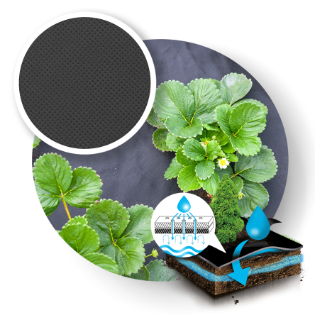 Агротканина з надрізами для полуниці, мінірол,чорна 1.2х10 (Agro-E0010) - 3