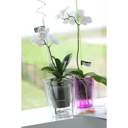 Горщик для квітів Prosperplast COUBI 13х13х13см круглий прозорий (15477) - 2