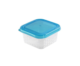 Ємність квадратна BRANQ BLUE BOX 0.25л (BRQ-2025)