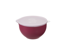 Миска для міксера Plast Team 1л із кришкою червона (TEA-2511.3)