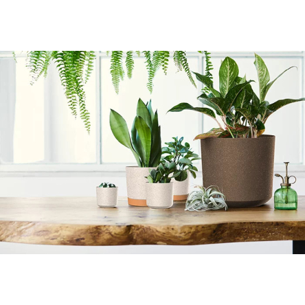 Горщик для квітів Prosperplast TUBO P ECO WOOD 10.8х10.8х9.5см круглий з підставкою антрацит (67931-433) - 4