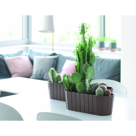 Балконний ящик Prosperplast BOARDEE CASE 58.7х14.4х13см коричневий (25685-222) - 2 Балконний ящик Prosperplast BOARDEE CASE 58.7х14.4х13см коричневий (25685-222) - 2