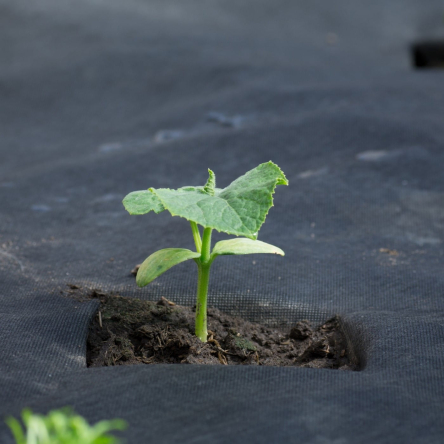 Агроткань для мульчирования от сорняков, пакет 1.6х10 (Agro-E0012) - 8