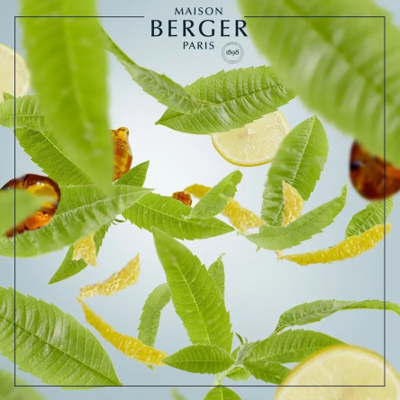 4806 Аромалампа Maison Berger Paris ICE CUBE FEUILLE, 256 мл з ароматом ZEST OF VERBENA, 250 мл - 3