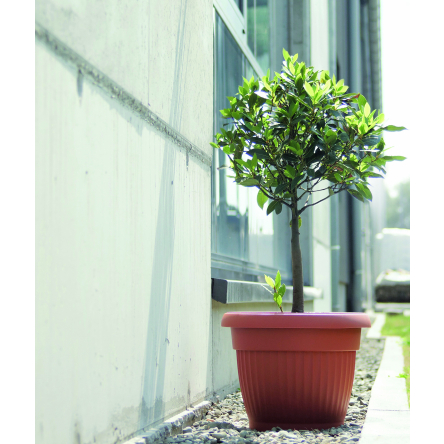 Горшок для цветов Prosperplast ТERRA 17х13см терракотовый (11244) - 4