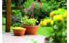 Миска для квітів Prosperplast ТЕРРА1 20см (15121) - 2