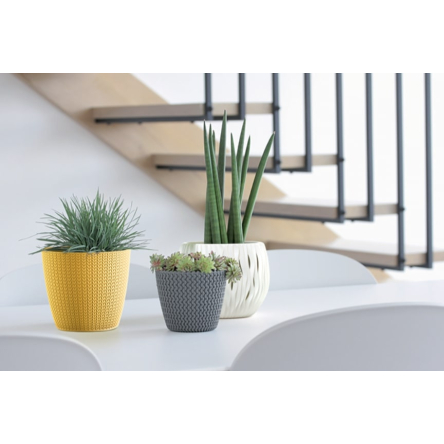 Горщик для квітів Prosperplast WHEATY 19х17см гірчичний (26286-117) - 3