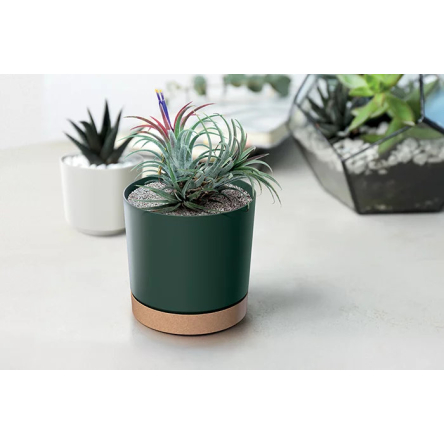 Горшок для цветов Prosperplast TUBO PM 17.8х17.8х15.7см круглый с подставкой EECO WOOD темно-зеленый (66934-2411) - 3