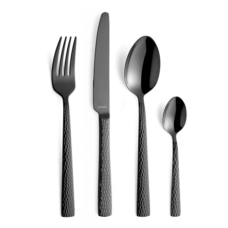 Набор столовых приборов Amefa FELICIRY BLACK, 24 пр. - 1