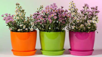 Преимущества пластиковых горшков