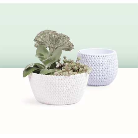 Кашпо для квітів Prosperplast SPLOFY LOW 24х12см білий (25975-449) - 2