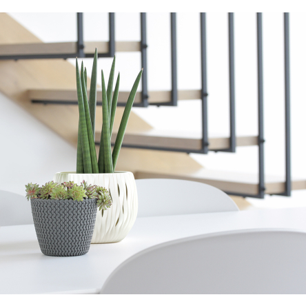 Горщик для квітів Prosperplast SANDY BOWL із вкладишем 37х22см білий (23148-449) - 5 Горщик для квітів Prosperplast SANDY BOWL із вкладишем 37х22см білий (23148-449) - 5