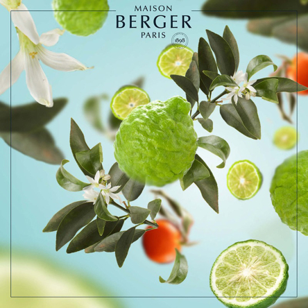 115341 Аромат для лампи Maison Berger Paris RADIANT BERGAMOT, 500 мл - 2