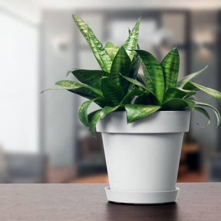 Горщик для квітів Prosperplast LOFLY 39х35см білий (70715-449) - 2