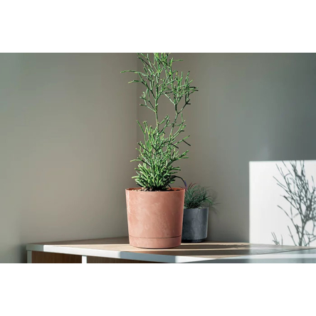 Горщик для квітів Prosperplast TUBO P BETON EFFECT 14.8х14.8х13см круглий з підставкою теракотовий (72188-624) - 2